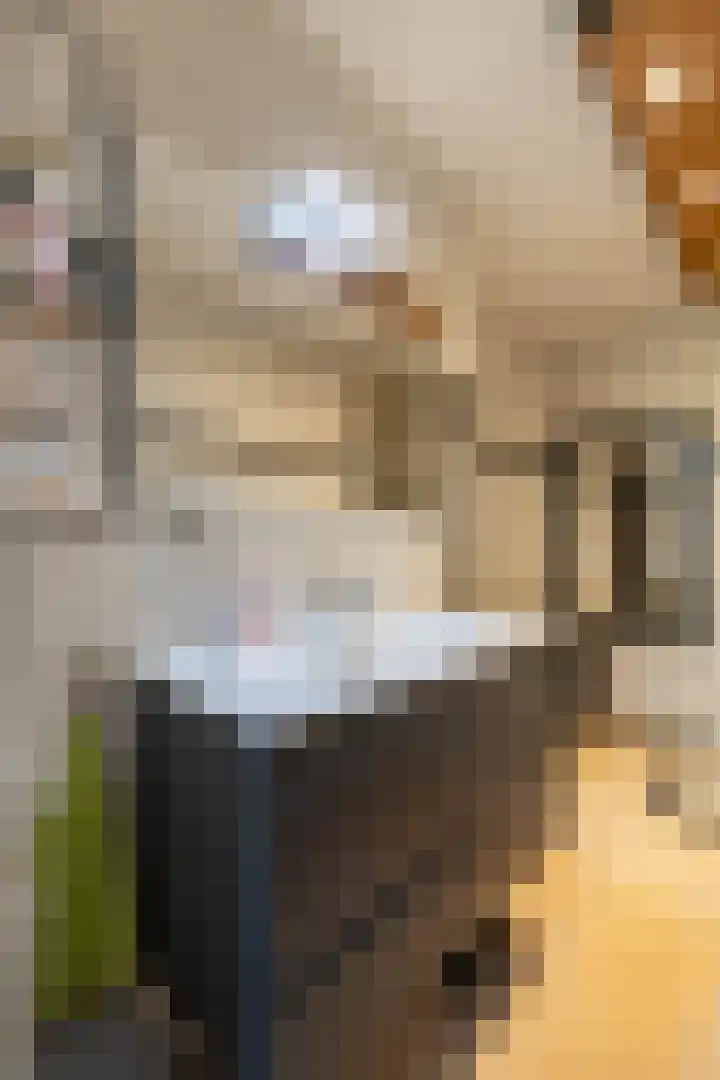 It Merkelân 62 Beetsterzwaag thumbnail 17