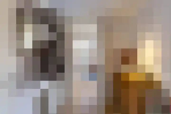 It Merkelân 62 Beetsterzwaag thumbnail 19
