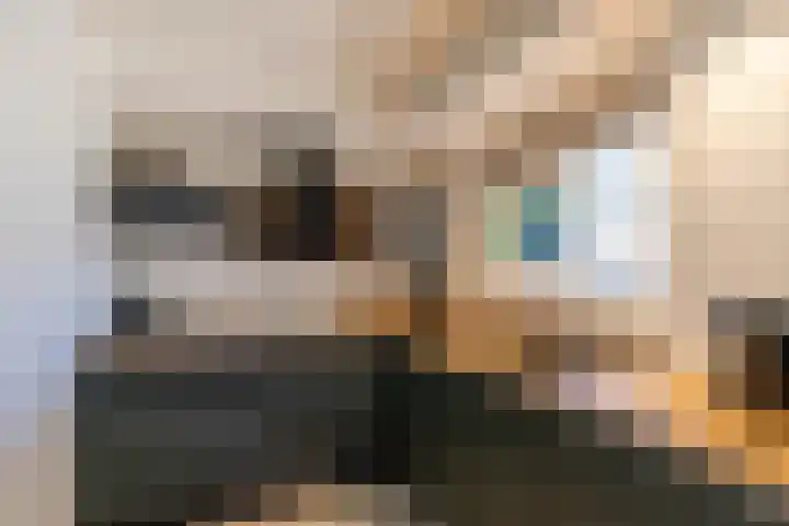 It Merkelân 62 Beetsterzwaag thumbnail 26
