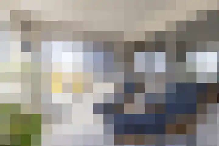 It Merkelân 62 Beetsterzwaag thumbnail 29