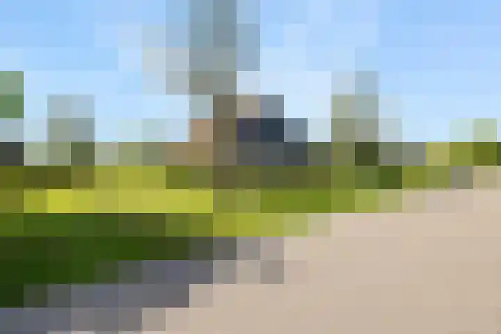It Noard 75 Broek thumbnail 11