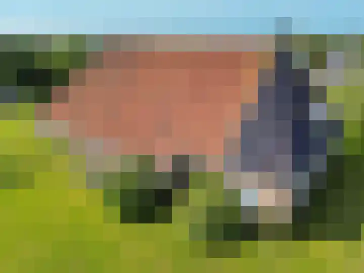 It Noard 75 Broek thumbnail 12