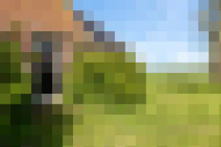 It Noard 75 Broek thumbnail 13