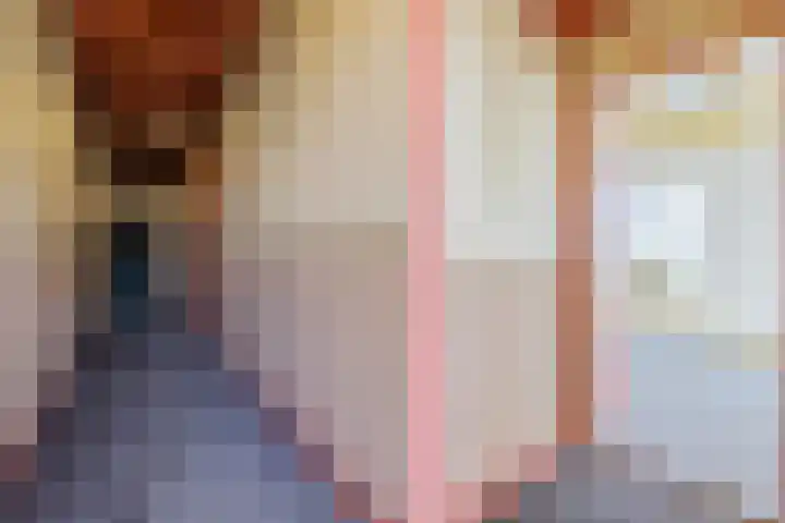 It Noard 75 Broek thumbnail 15