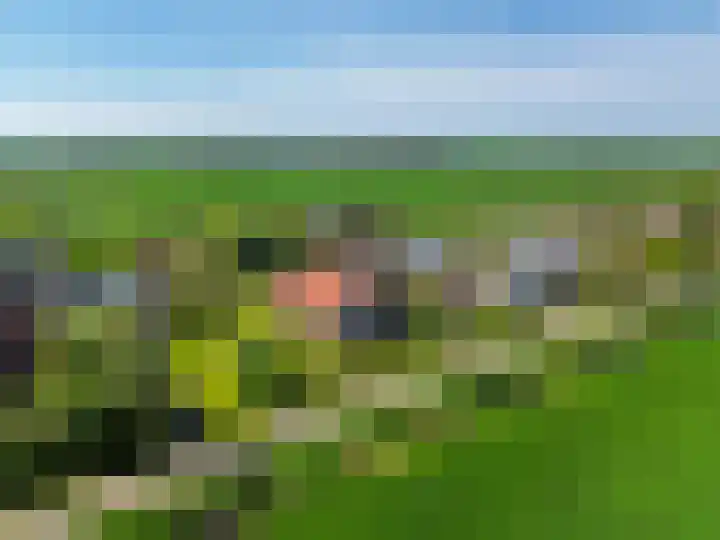It Noard 75 Broek thumbnail 4