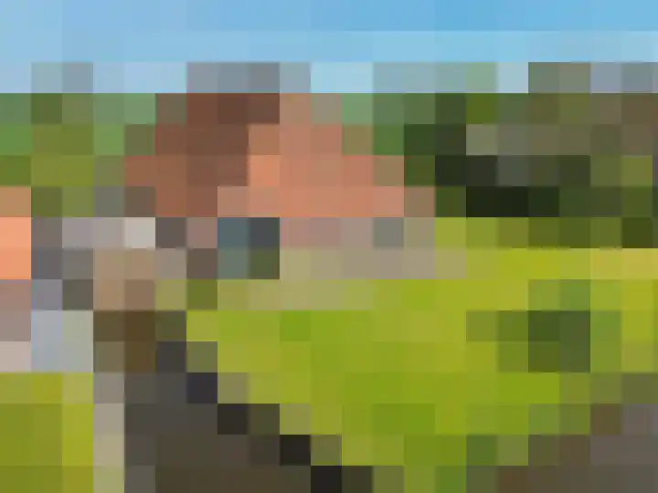 It Noard 75 Broek thumbnail 40