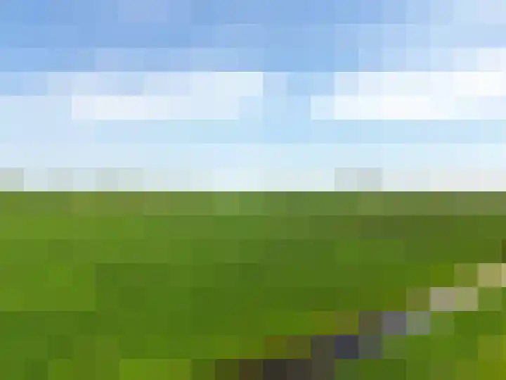 It Noard 75 Broek thumbnail 7
