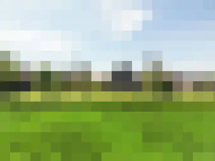 It Noard 75 Broek thumbnail 9