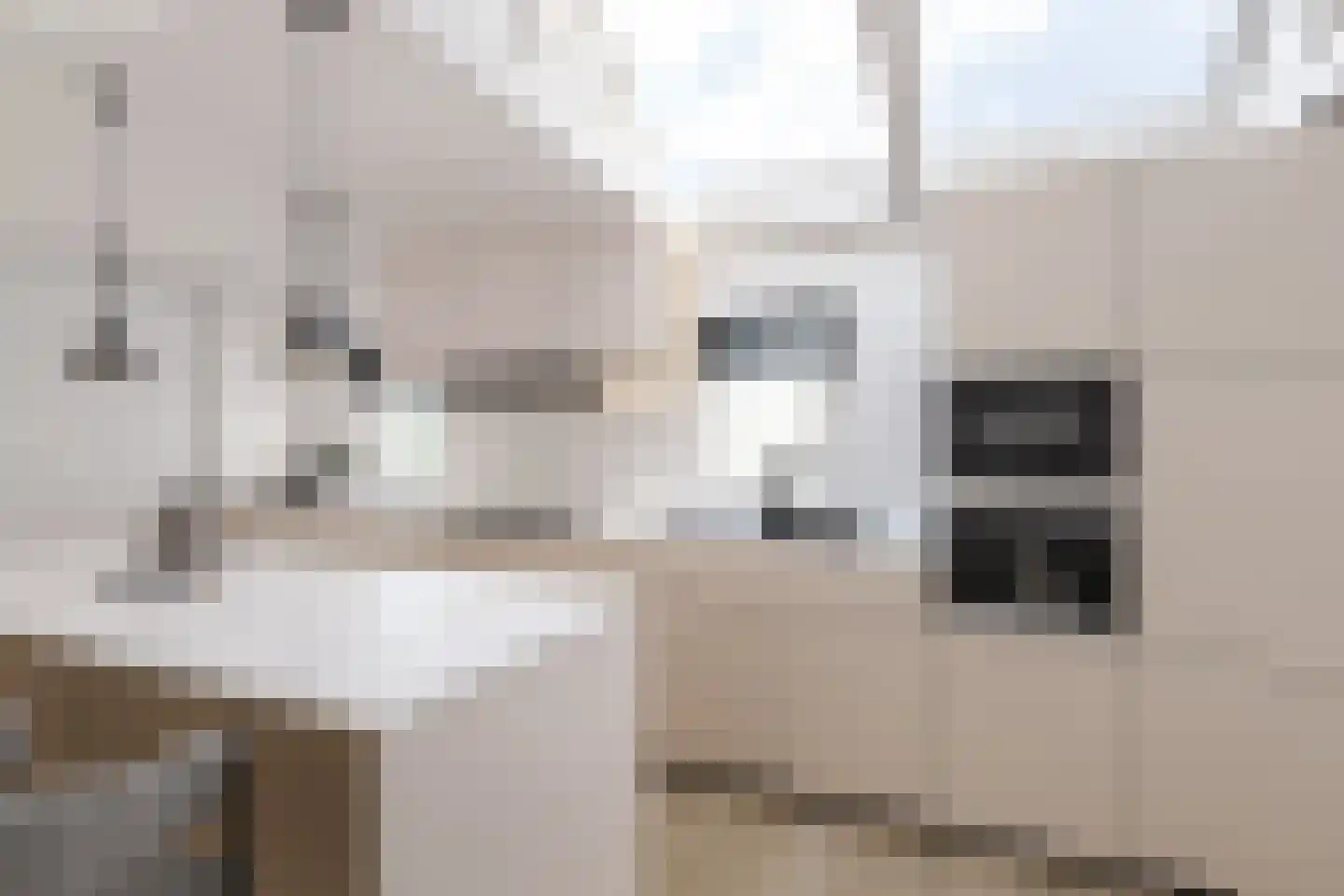 It Noard 79 Broek thumbnail 12