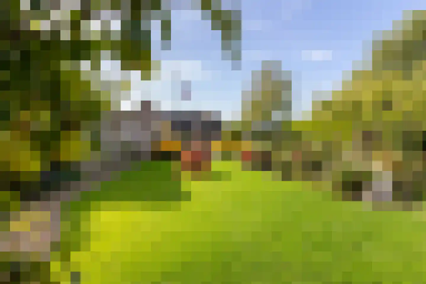 It Noard 79 Broek thumbnail 39