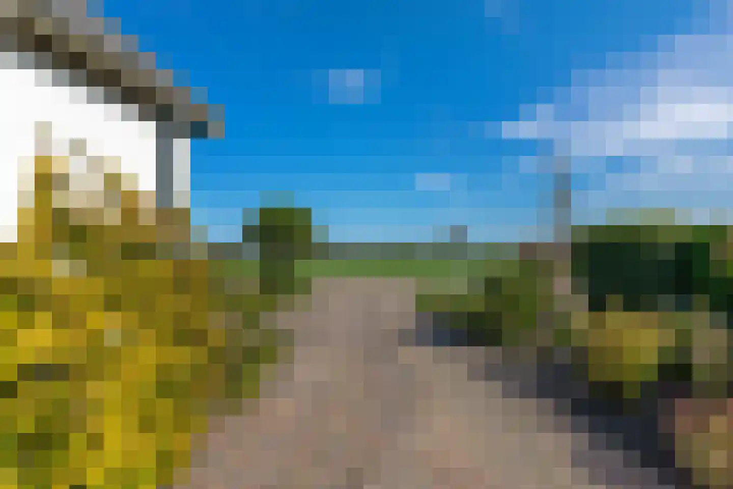 It Noard 79 Broek thumbnail 48