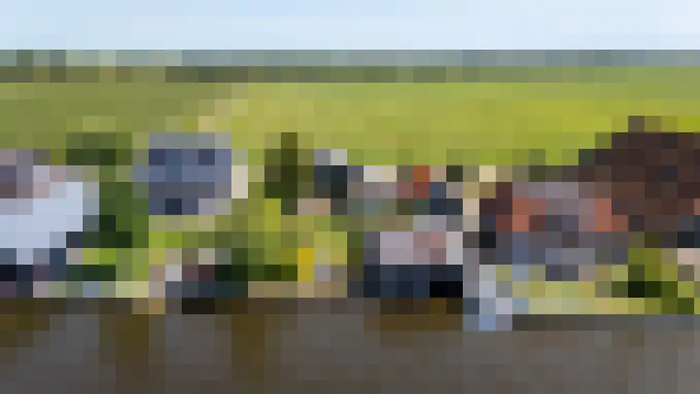 It Noard 79 Broek thumbnail 61