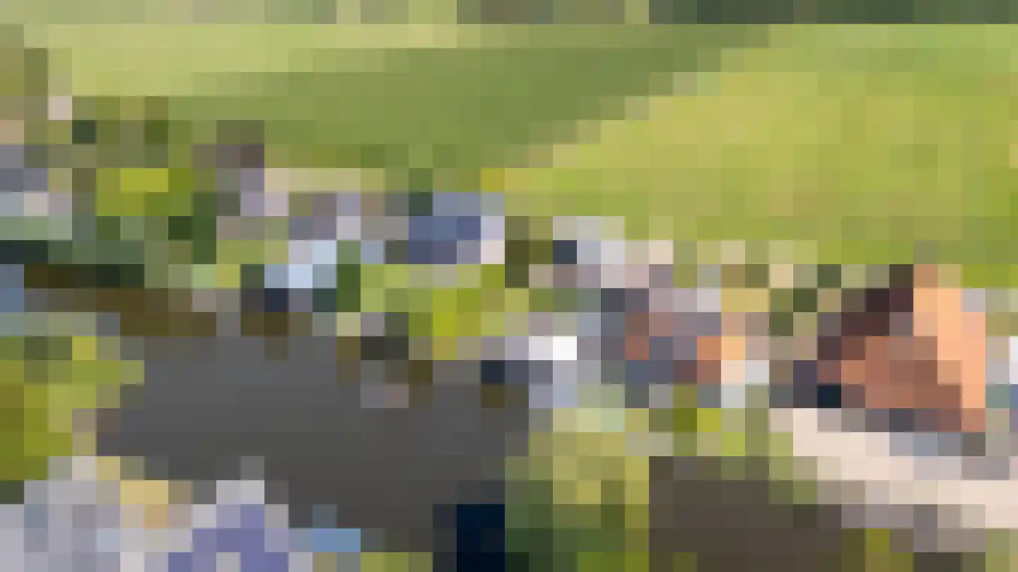It Noard 79 Broek thumbnail 64