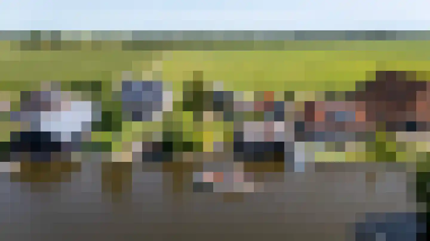 It Noard 79 Broek thumbnail 7