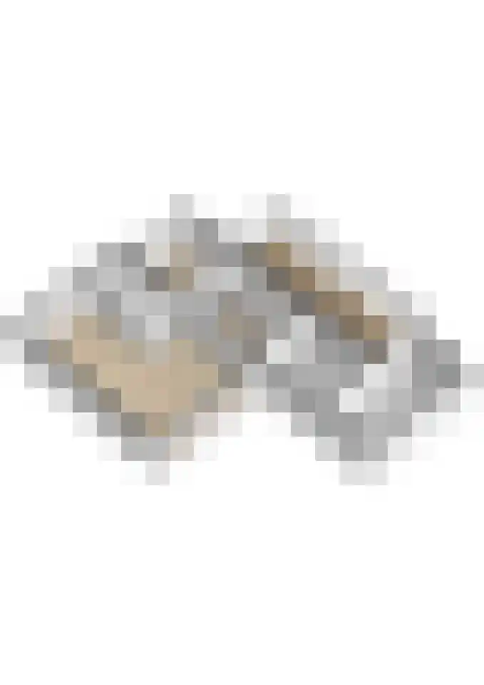 It Noard 79 Broek thumbnail 71