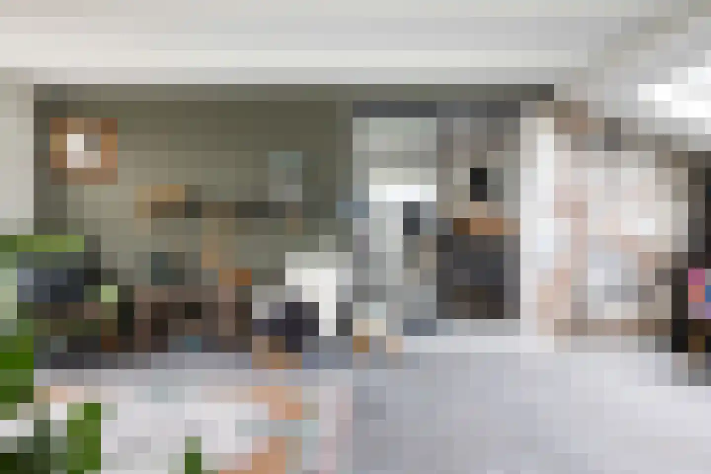 It Noarderfjild 18 Stiens thumbnail 15