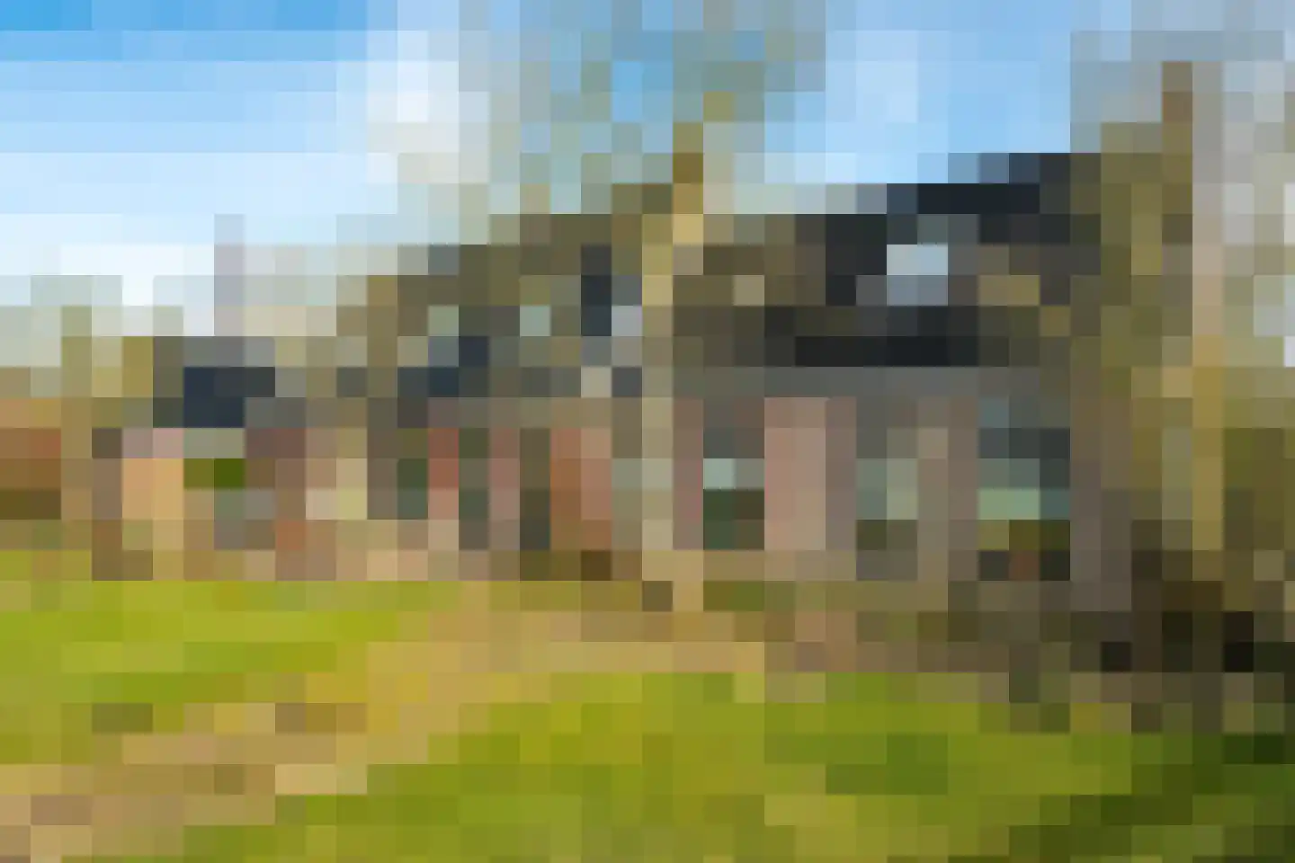 It Noarderfjild 18 Stiens thumbnail 64