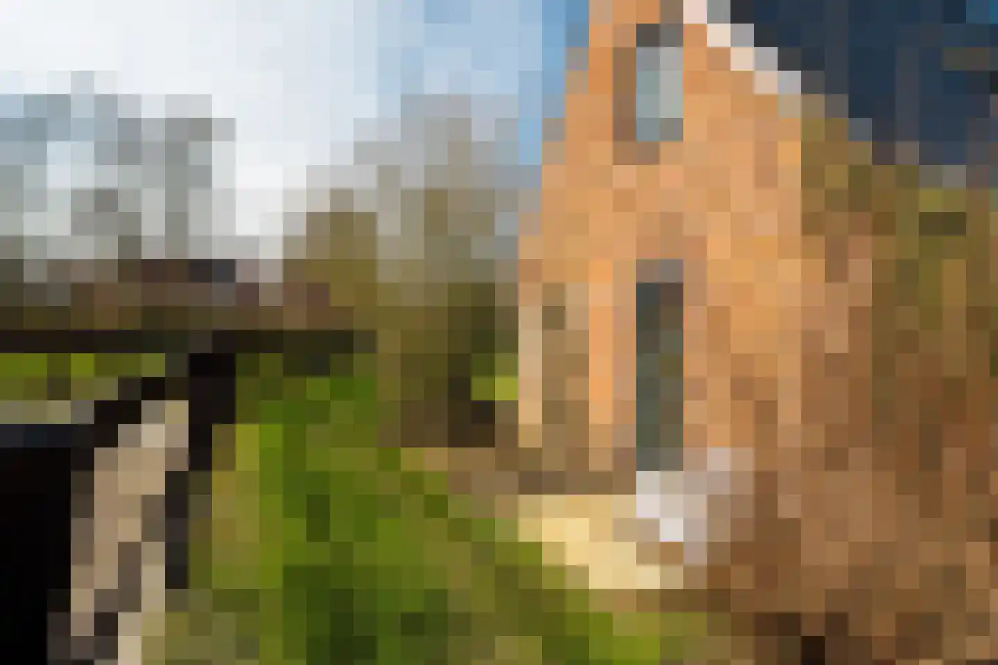 It Noarderfjild 18 Stiens thumbnail 69