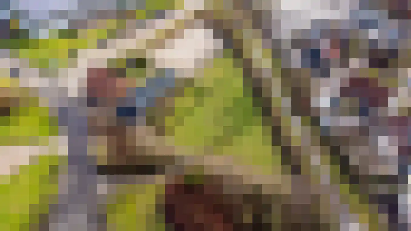 It Noarderfjild 18 Stiens thumbnail 83
