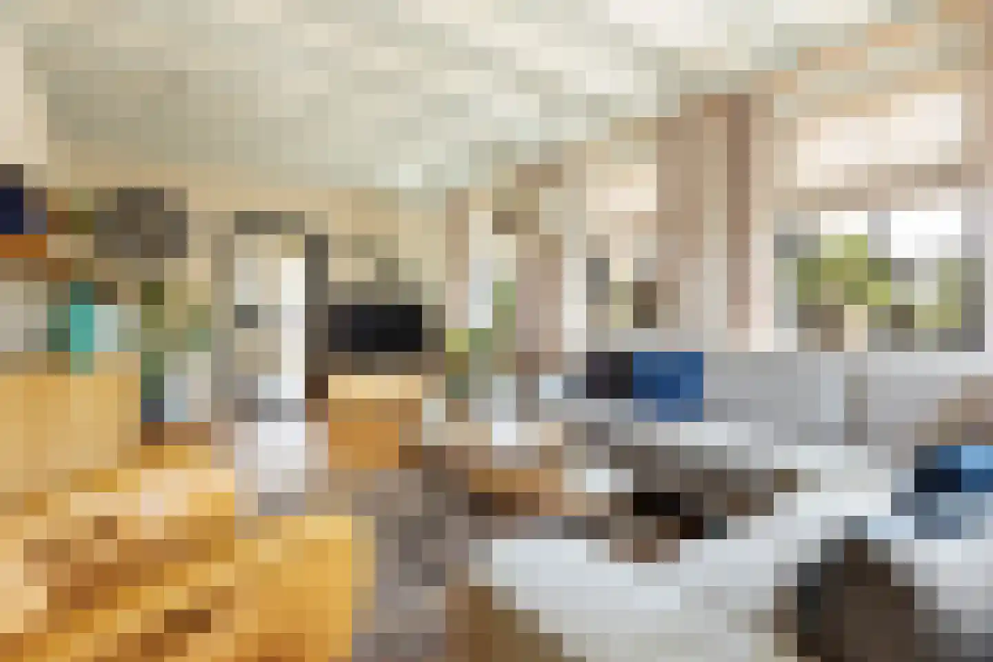 It Oast 20 Augustinusga thumbnail 10
