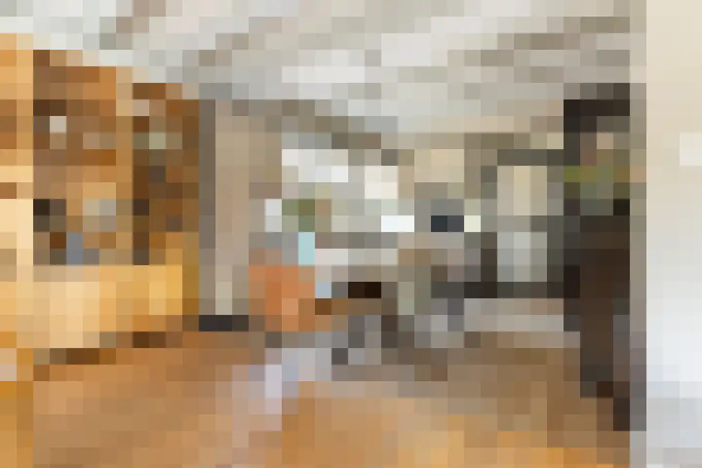 It Oast 20 Augustinusga thumbnail 11