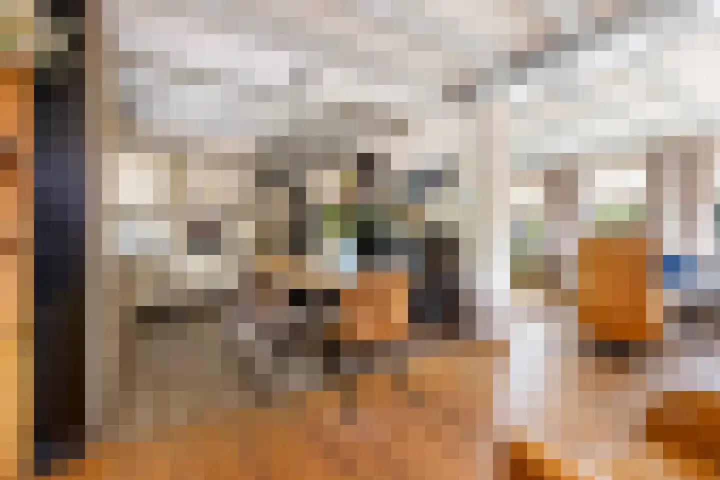 It Oast 20 Augustinusga thumbnail 12