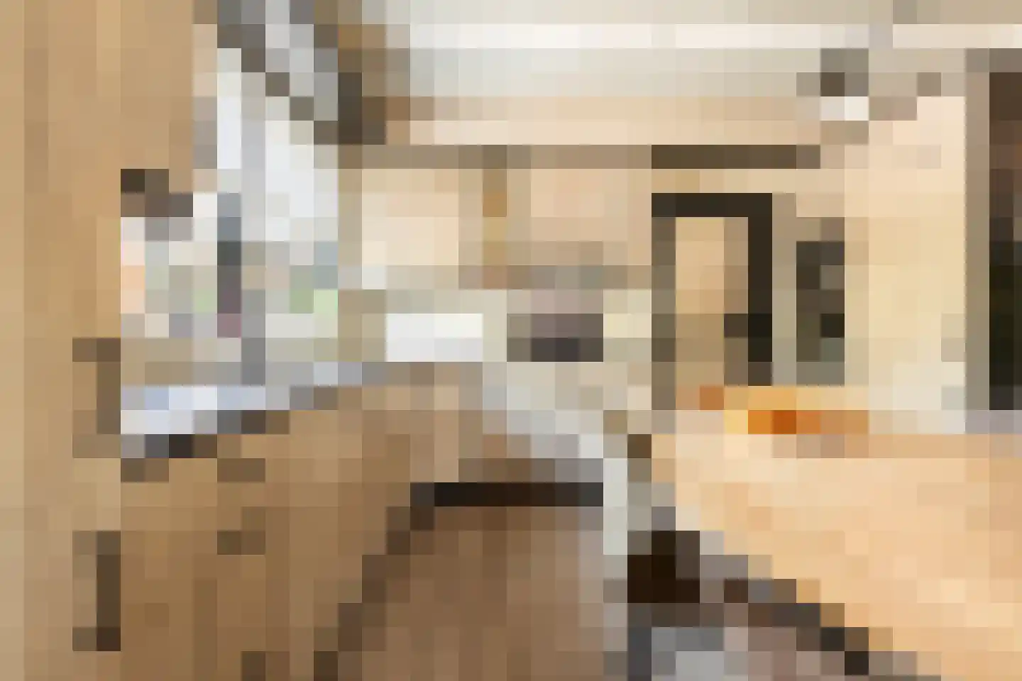 It Oast 20 Augustinusga thumbnail 14