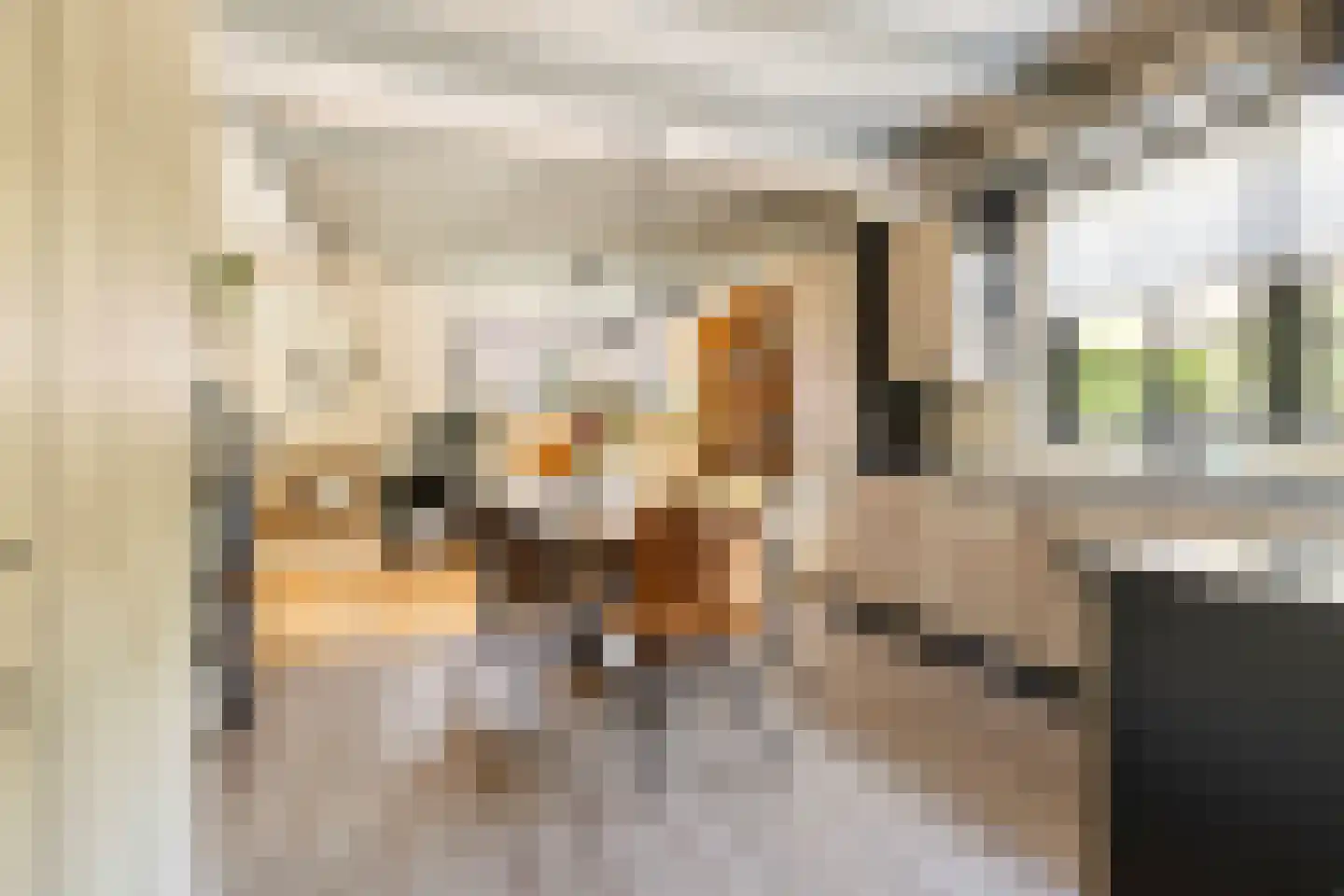 It Oast 20 Augustinusga thumbnail 16