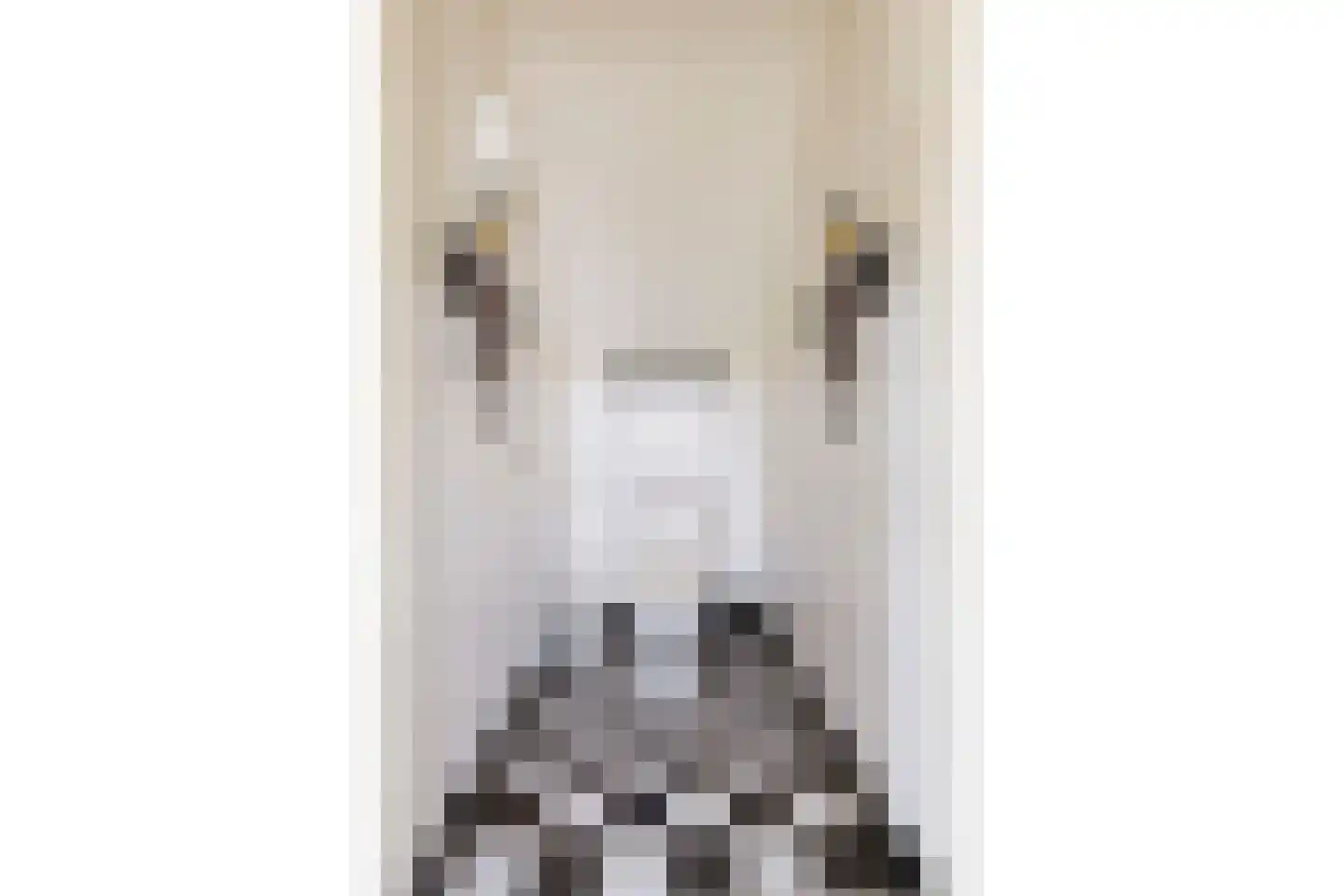 It Oast 20 Augustinusga thumbnail 23