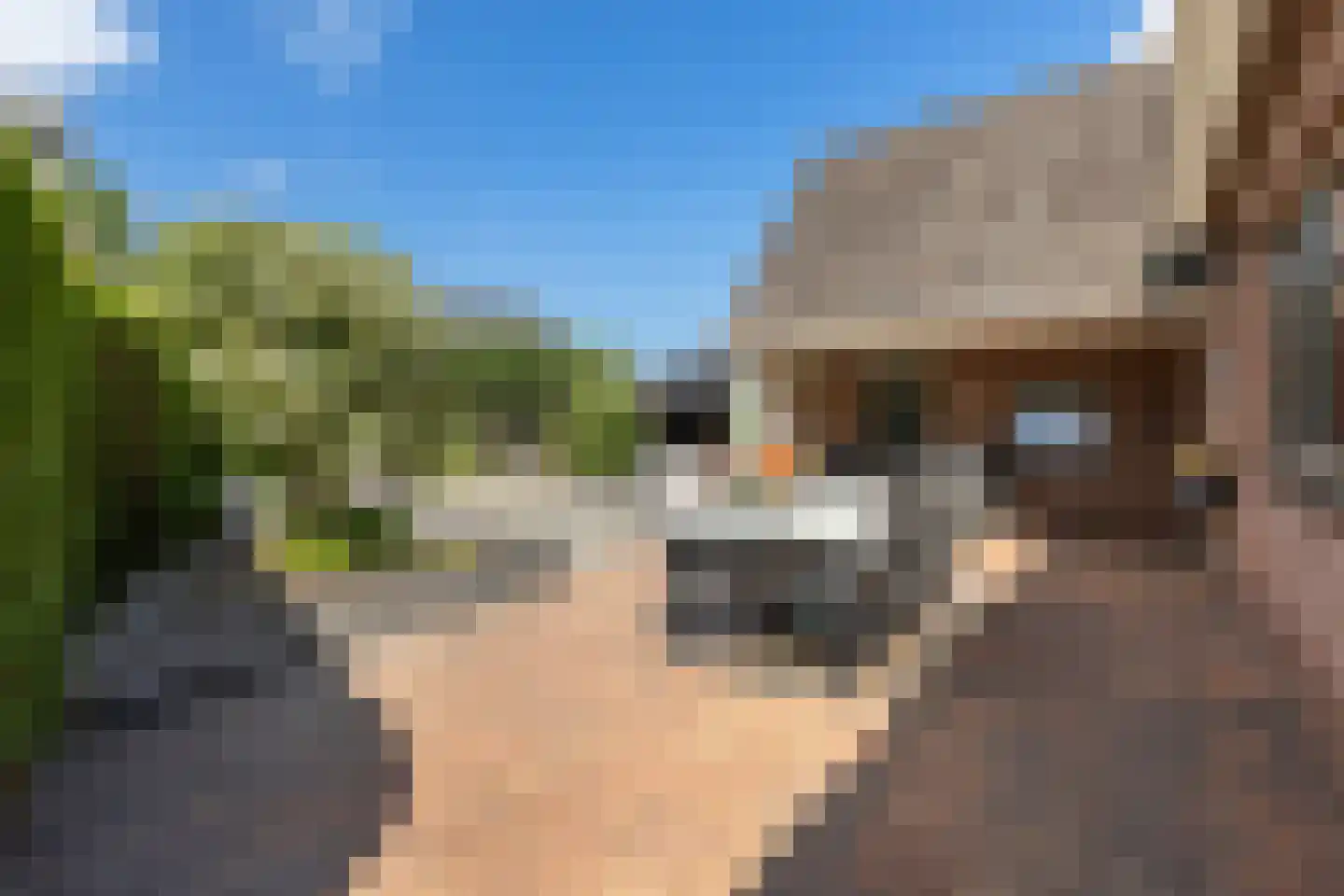 It Oast 20 Augustinusga thumbnail 38