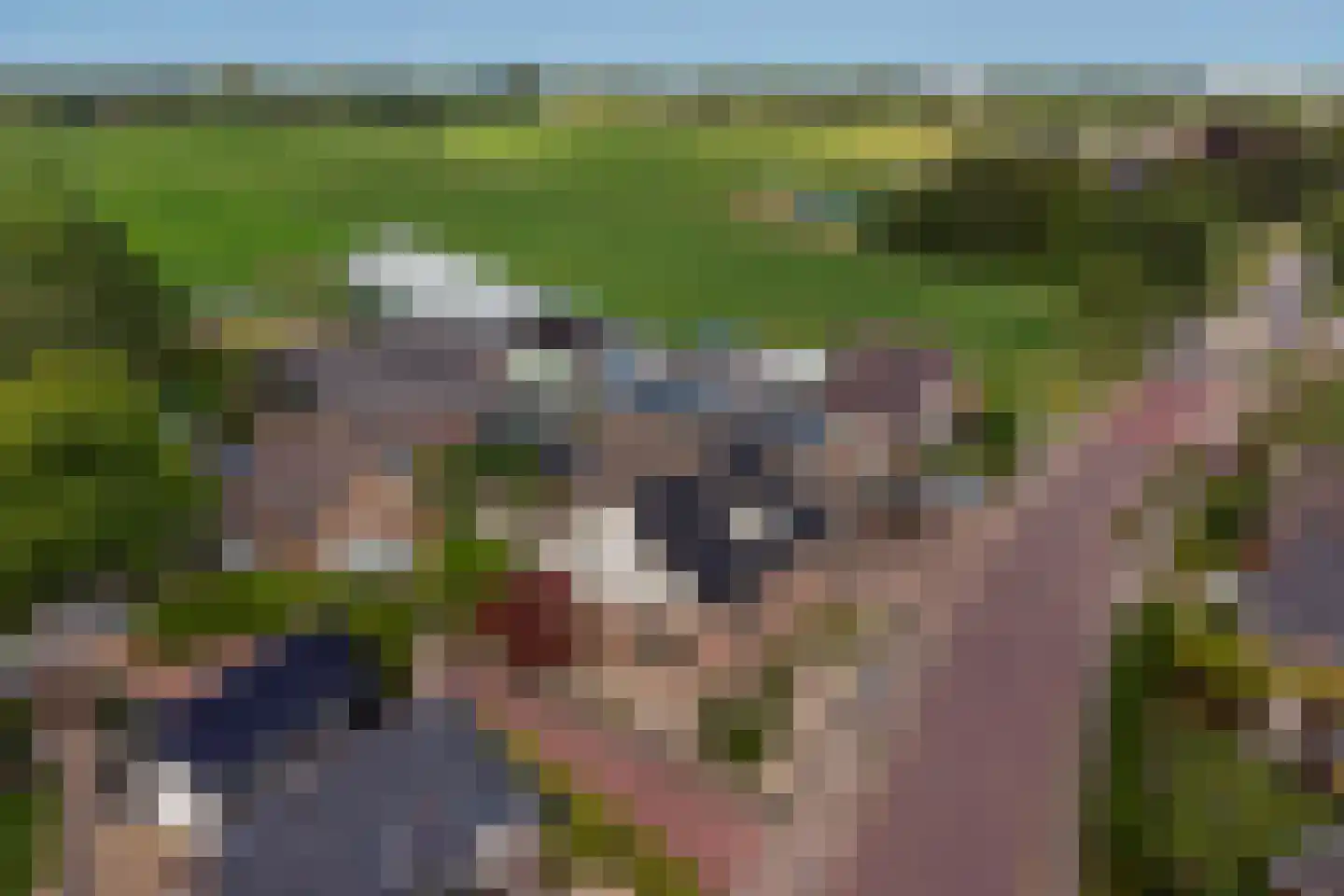 It Oast 20 Augustinusga thumbnail 49