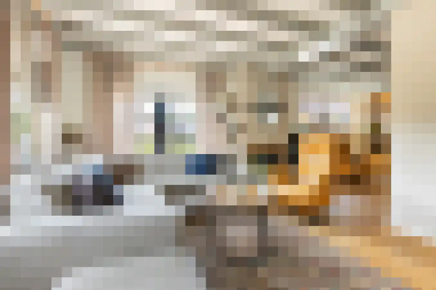 It Oast 20 Augustinusga thumbnail 8