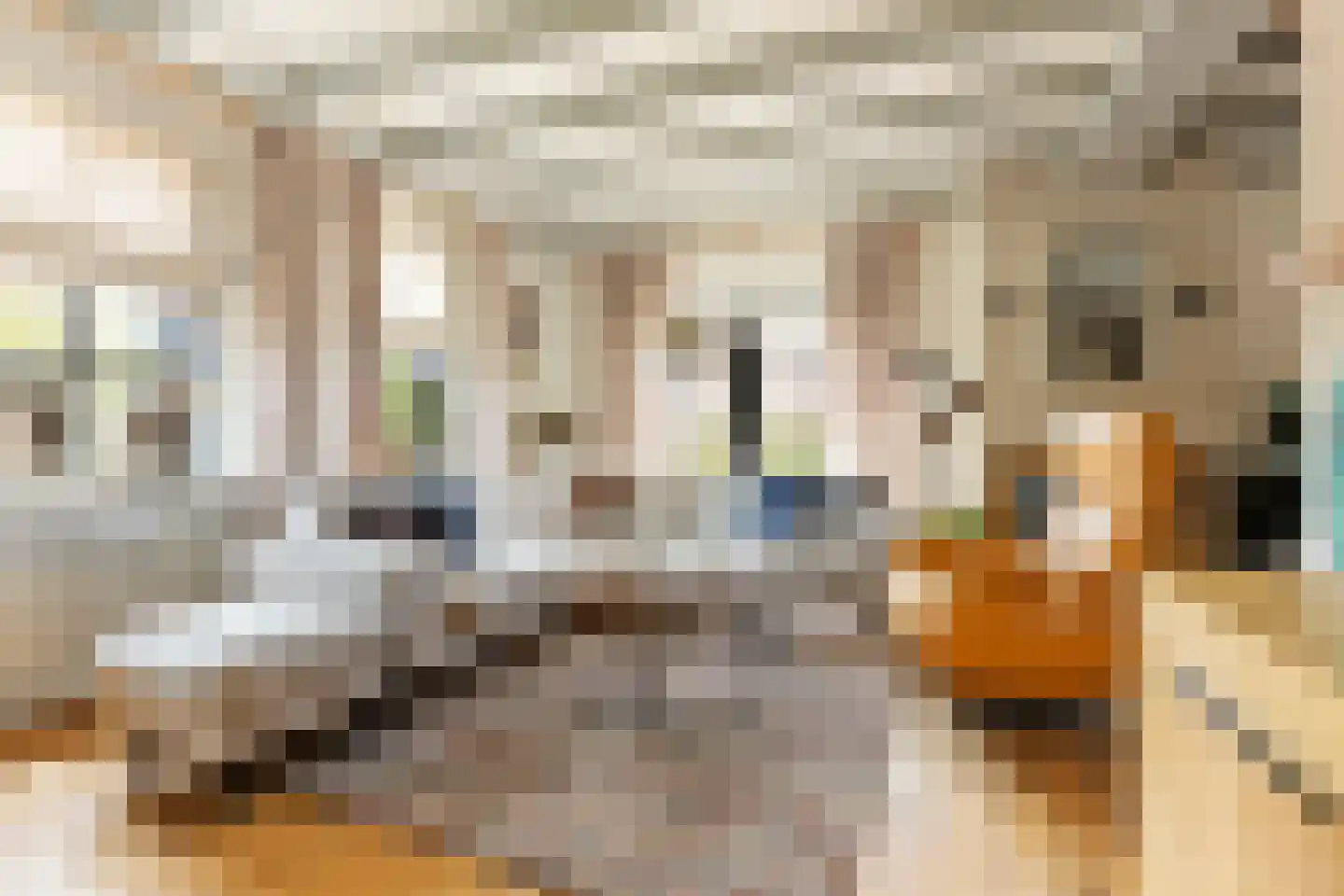 It Oast 20 Augustinusga thumbnail 9