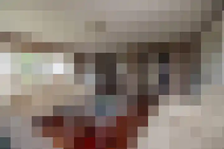 It Oerset 1 Augustinusga thumbnail 20
