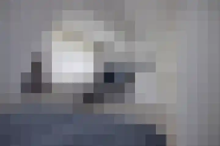 It Oerset 1 Augustinusga thumbnail 46
