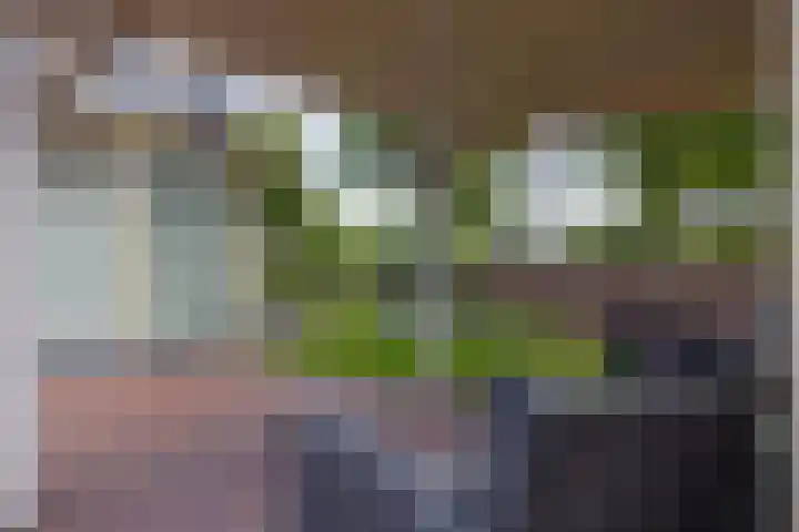 It Oerset 1 Augustinusga thumbnail 50