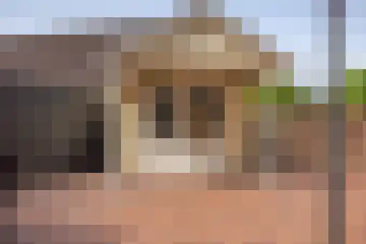 It Oerset 1 Augustinusga thumbnail 55