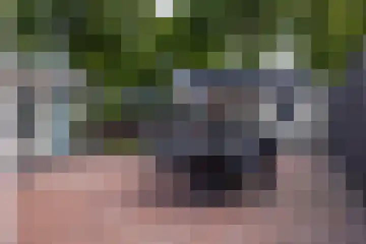 It Oerset 1 Augustinusga thumbnail 58