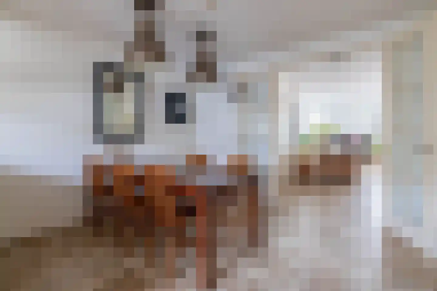 It Perron 5 Sint Nicolaasga thumbnail 14