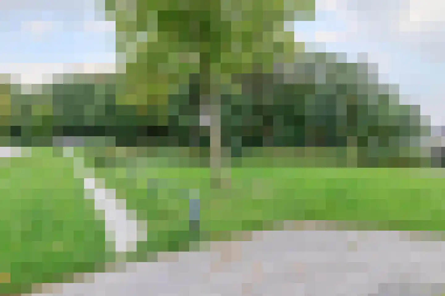 It Perron 5 Sint Nicolaasga thumbnail 45