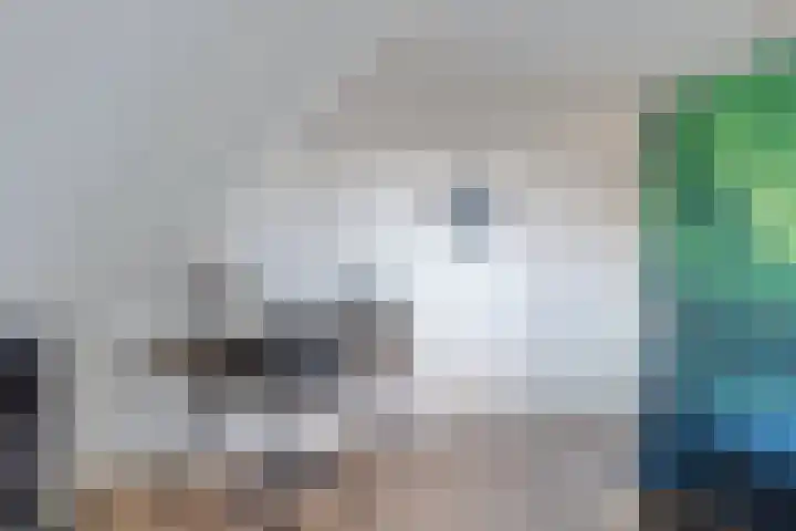 It Pypke 44 Hallum thumbnail 26