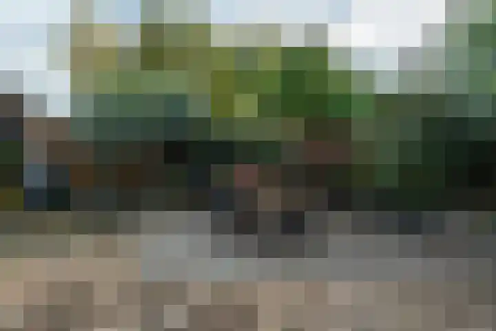 It Pypke 44 Hallum thumbnail 36