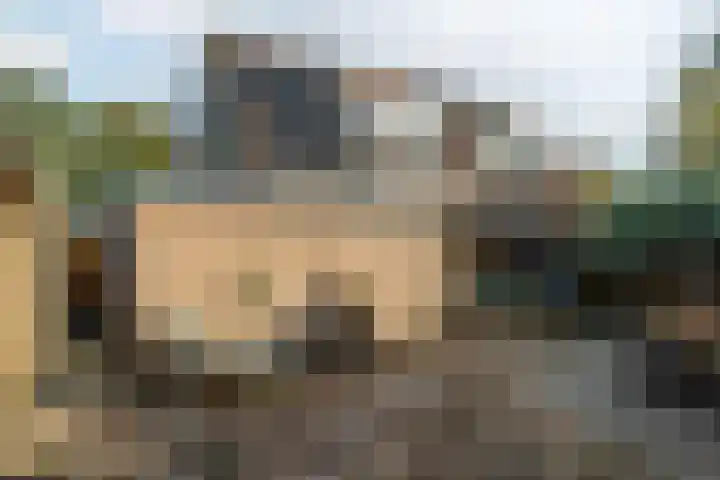 It Pypke 44 Hallum thumbnail 38