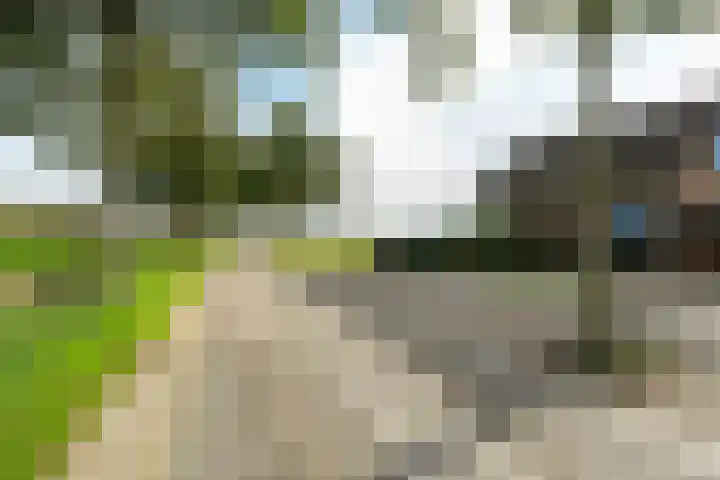 It Pypke 44 Hallum thumbnail 39