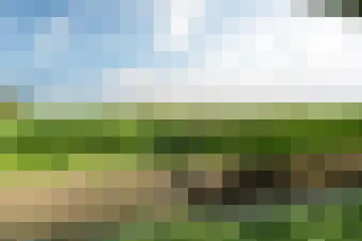 It Pypke 44 Hallum thumbnail 40