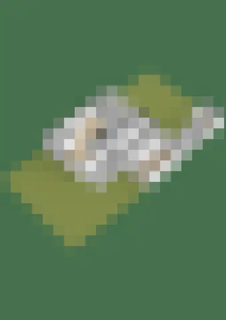 It Pypke 44 Hallum thumbnail 54