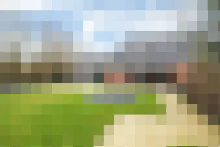 It Pypke 5 Hallum thumbnail 28
