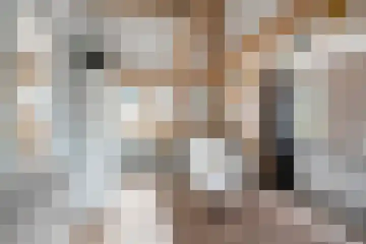 It Pypke 5 Hallum thumbnail 34