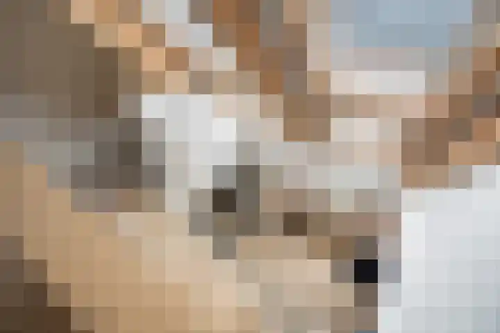 It Pypke 5 Hallum thumbnail 42