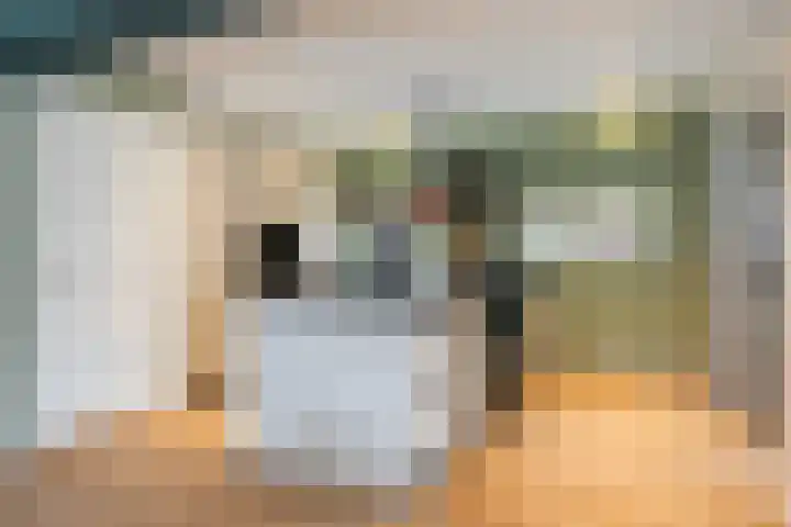 It Pypke 5 Hallum thumbnail 8